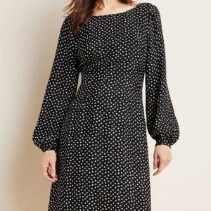 Anthropologie Polka Dot Midi Dress